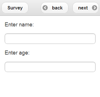 An example rendering of a basic XLSX file in `ODK-X Survey <https://docs.odk-x.org/survey-using/>`_